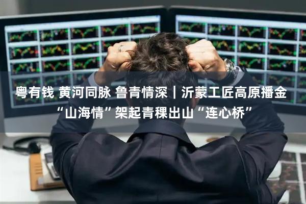 粤有钱 黄河同脉 鲁青情深｜沂蒙工匠高原播金 “山海情”架起青稞出山“连心桥”