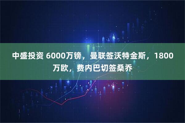 中盛投资 6000万镑，曼联签沃特金斯，1800万欧，费内巴切签桑乔