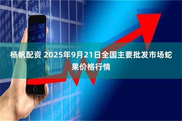杨帆配资 2025年9月21日全国主要批发市场蛇果价格行情