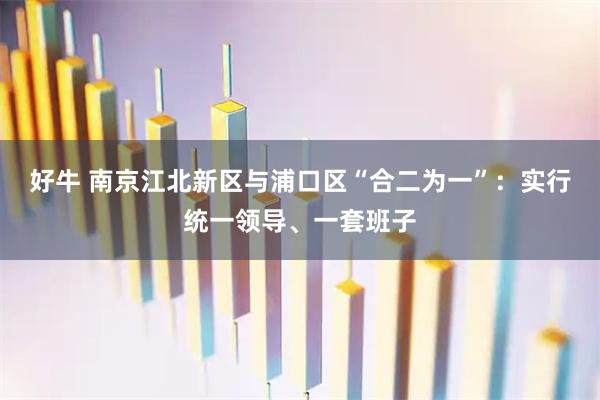 好牛 南京江北新区与浦口区“合二为一”：实行统一领导、一套班子