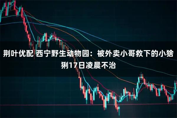 荆叶优配 西宁野生动物园:被外卖小哥救下的小猞猁17日凌晨不治