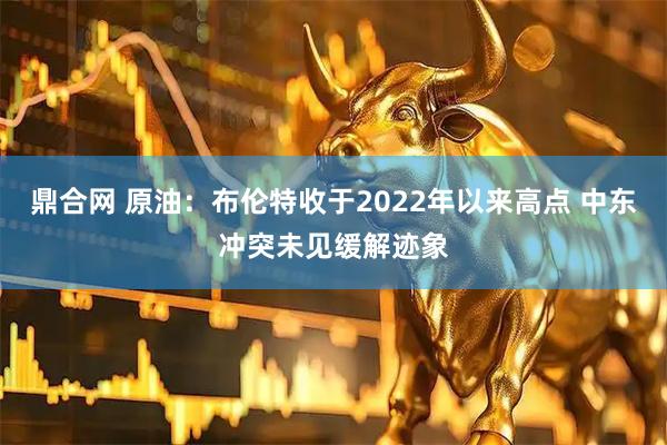 鼎合网 原油:布伦特收于2022年以来高点 中东冲突未见缓解迹象
